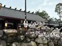 廣田神社の{uncategorized: "未分類", other: "その他", undefined: "問題あり", building: "その他建物", grave: "お墓", sacred_gate: "鳥居", guardian: "狛犬", statue: "像", buddha: "仏像", history: "歴史", nature: "自然", garden: "庭園", animal: "動物", pagoda: "塔", temizu: "手水舎", mountain_gate: "山門・神門", sanctuary: "本殿・本堂", subordinate: "末社・摂社", art: "芸術", scenery: "景色", jizo: "地蔵", ema: "絵馬", goshuin: "御朱印", omikuji: "おみくじ", items: "授与品その他", amulet: "お守り", goshuincho: "御朱印帳", eats: "食事", festival: "お祭り", votive_dance: "神楽", shichigosan: "七五三参", wedding: "結婚式", experience: "体験その他", initially: "初詣", around: "周辺", anti_infection: "感染症対策"}