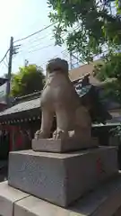 金刀比羅大鷲神社の狛犬