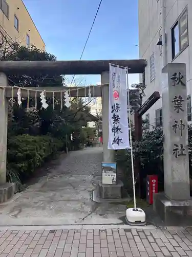 秋葉神社の鳥居