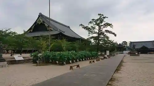 本山専修寺のその他建物