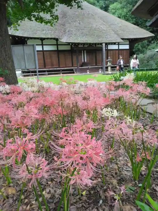 横浜 西方寺(神奈川県)