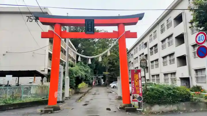 開運招福 飯玉神社(群馬県)