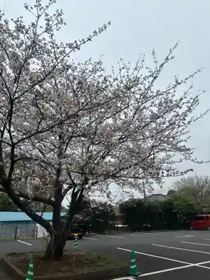 廣幡八幡宮(千葉県)