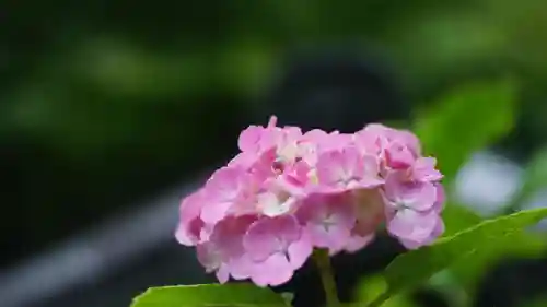 長谷寺(奈良県)