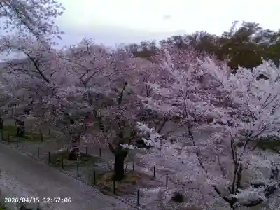 懐古神社の{uncategorized: "未分類", other: "その他", undefined: "問題あり", building: "その他建物", grave: "お墓", sacred_gate: "鳥居", guardian: "狛犬", statue: "像", buddha: "仏像", history: "歴史", nature: "自然", garden: "庭園", animal: "動物", pagoda: "塔", temizu: "手水舎", mountain_gate: "山門・神門", sanctuary: "本殿・本堂", subordinate: "末社・摂社", art: "芸術", scenery: "景色", jizo: "地蔵", ema: "絵馬", goshuin: "御朱印", omikuji: "おみくじ", items: "授与品その他", amulet: "お守り", goshuincho: "御朱印帳", eats: "食事", festival: "お祭り", votive_dance: "神楽", shichigosan: "七五三参", wedding: "結婚式", experience: "体験その他", initially: "初詣", around: "周辺", anti_infection: "感染症対策"}