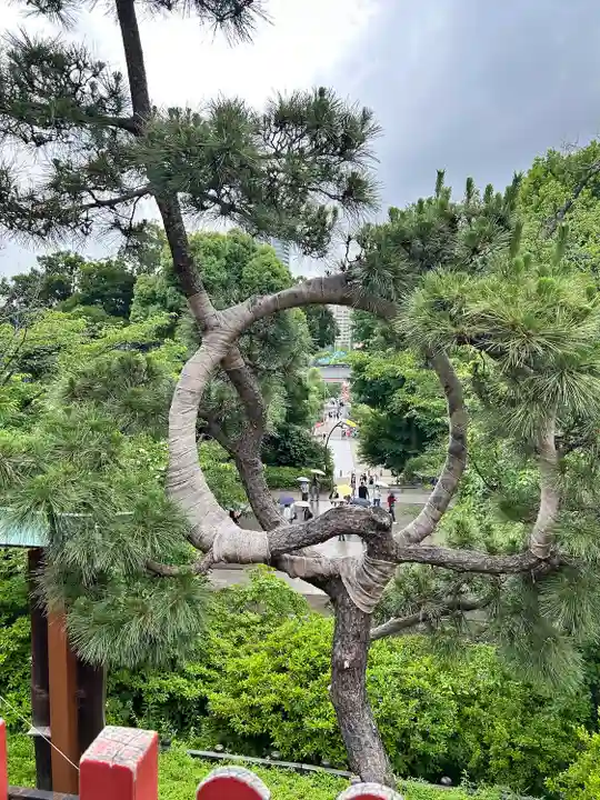 清水観音堂(東京都)