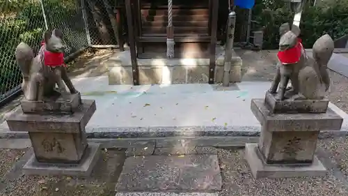 安居神社の狛犬