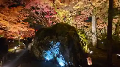 宝厳院(京都府)