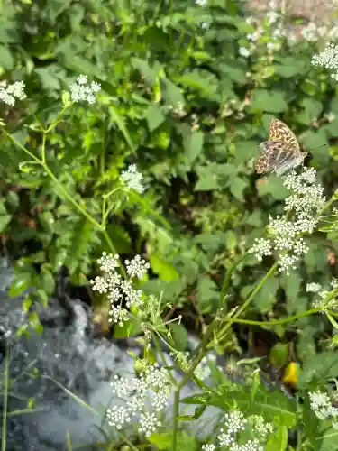 諏訪大社上社前宮(長野県)