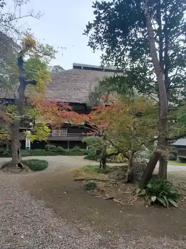 常光院の本殿