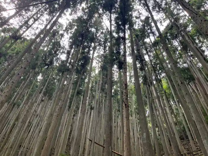 空也の滝(京都府)