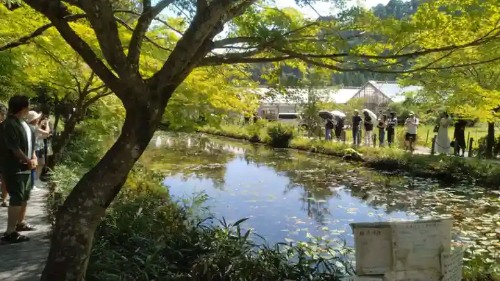 根道神社(岐阜県)