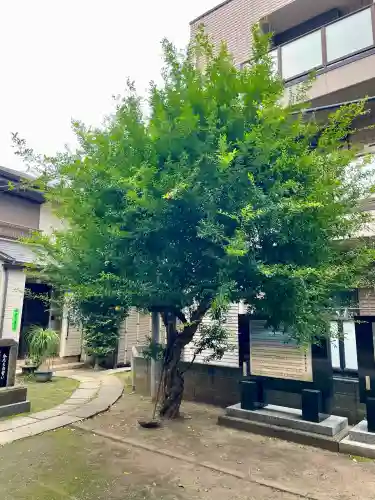 成田山不動大教会(東京都)