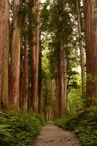 戸隠神社九頭龍社(長野県)