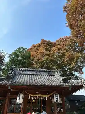 川越熊野神社の本殿・本堂
