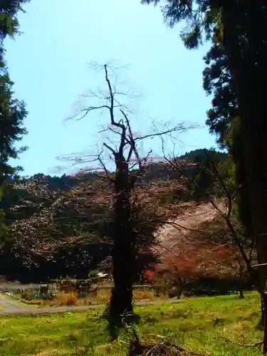 天神社の自然