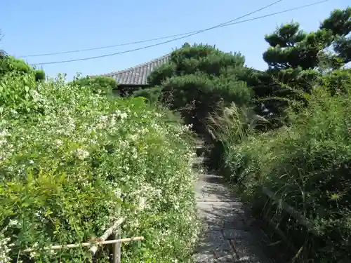 常林寺の景色