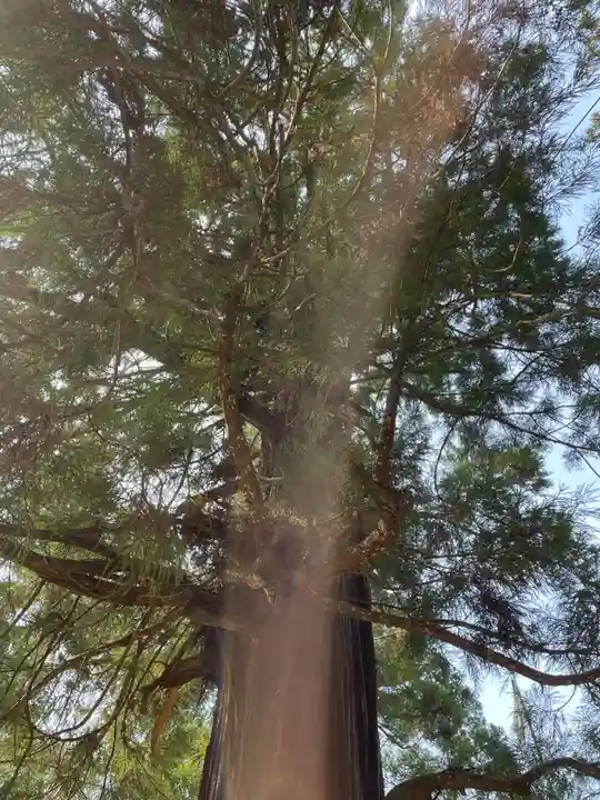 水主神社(香川県)