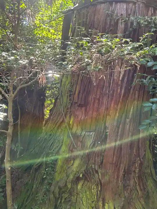 香取神宮(千葉県)