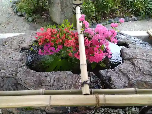 阿智神社の手水