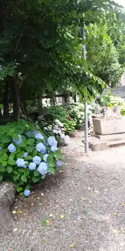 石坐神社の自然