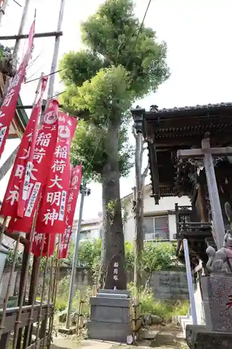 諏訪神社(東京都)