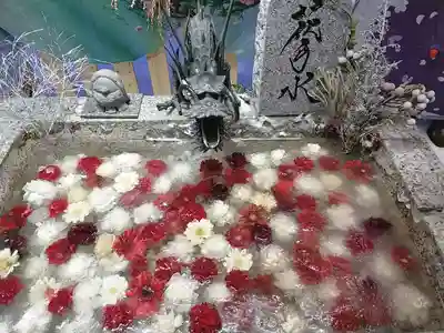 札幌諏訪神社の手水舎