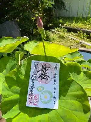 妙蓮寺(神奈川県)