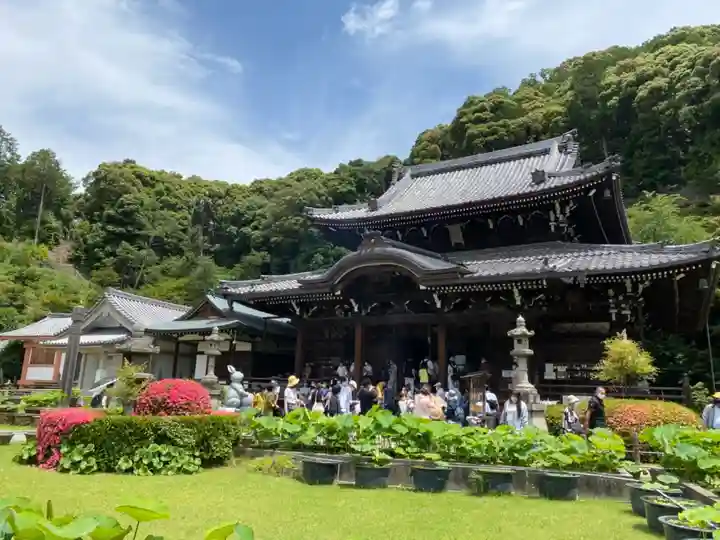 三室戸寺の本殿・本堂