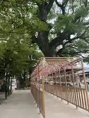 現人神社(福岡県)