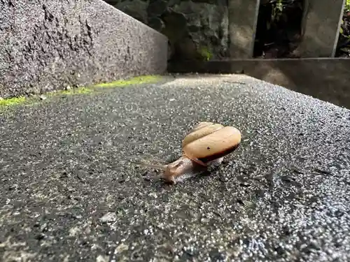 狭野神社(宮崎県)