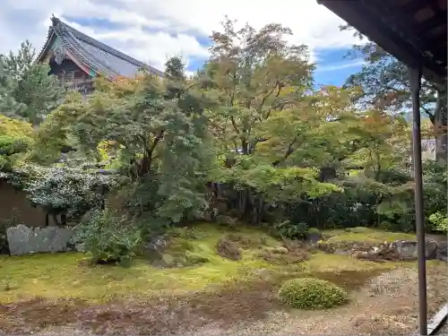 清凉寺(京都府)