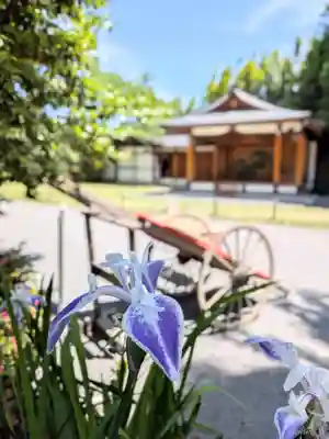 阿佐ヶ谷神明宮(東京都)