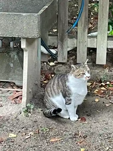阿邪訶根神社(福島県)