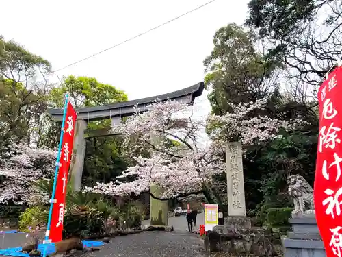 福岡縣護國神社の鳥居