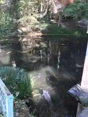 赤城神社(三夜沢町)の自然