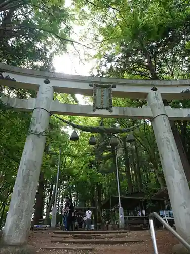 宝登山神社の鳥居