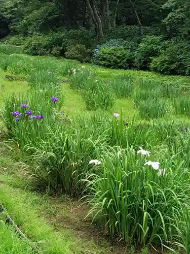 明治神宮の自然
