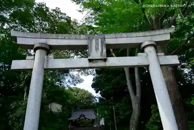 日吉神社の鳥居
