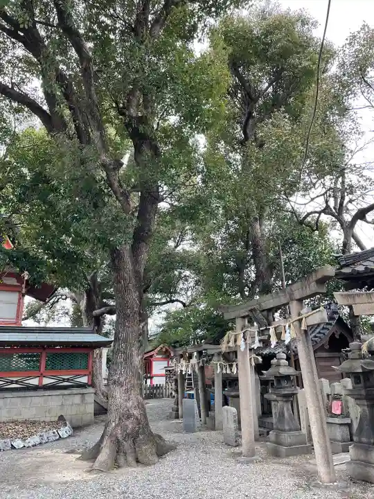 生根神社(大阪府)