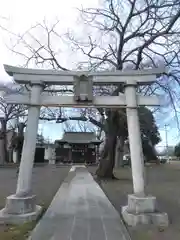 八幡大神社の鳥居