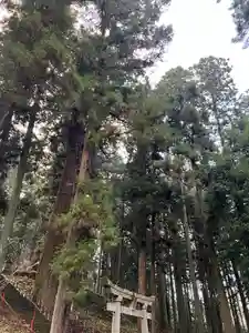 大宮温泉神社の自然(2022年12月14日(水) 07時30分26秒投稿)