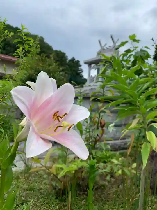 河童神社の自然