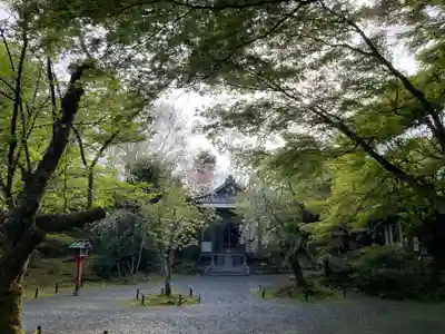 常照寺(京都府)