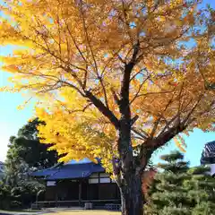 西福寺(愛知県)