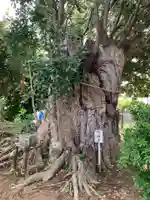 園生神社(千葉県)