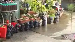 今戸神社の狛犬