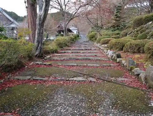善峯寺(京都府)