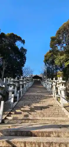 日尾八幡神社の{uncategorized: "未分類", other: "その他", undefined: "問題あり", building: "その他建物", grave: "お墓", sacred_gate: "鳥居", guardian: "狛犬", statue: "像", buddha: "仏像", history: "歴史", nature: "自然", garden: "庭園", animal: "動物", pagoda: "塔", temizu: "手水舎", mountain_gate: "山門・神門", sanctuary: "本殿・本堂", subordinate: "末社・摂社", art: "芸術", scenery: "景色", jizo: "地蔵", ema: "絵馬", goshuin: "御朱印", omikuji: "おみくじ", items: "授与品その他", amulet: "お守り", goshuincho: "御朱印帳", eats: "食事", festival: "お祭り", votive_dance: "神楽", shichigosan: "七五三参", wedding: "結婚式", experience: "体験その他", initially: "初詣", around: "周辺", anti_infection: "感染症対策"}