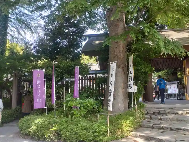 阿佐ヶ谷神明宮(東京都)